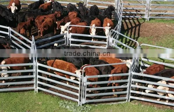 Galvanised 1.8m high cattle panels(sales1@china-metal-fence.com)