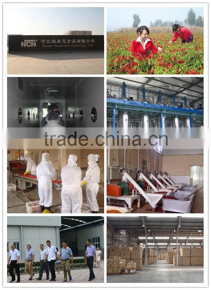 New Crop of Tianying Red Chilli