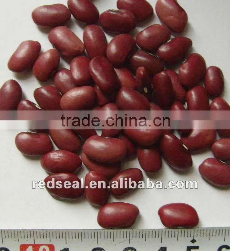 Organic Small Red beans