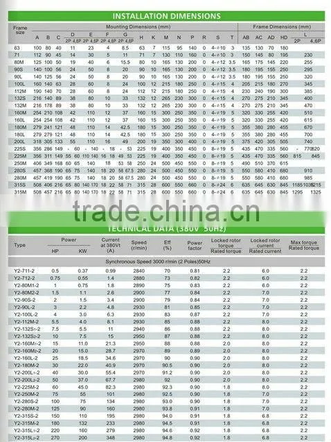 Y2 Series Cast Iron Three Phase Electric Motor(IE1/IE2/IE3 Standard) for Air Compressor / Elevator