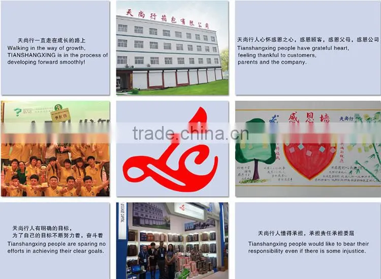Aluminium Trolley Luggage Middle East Market Leopard Material Aluminium Trolley Luggage Baoding Factory High Quality