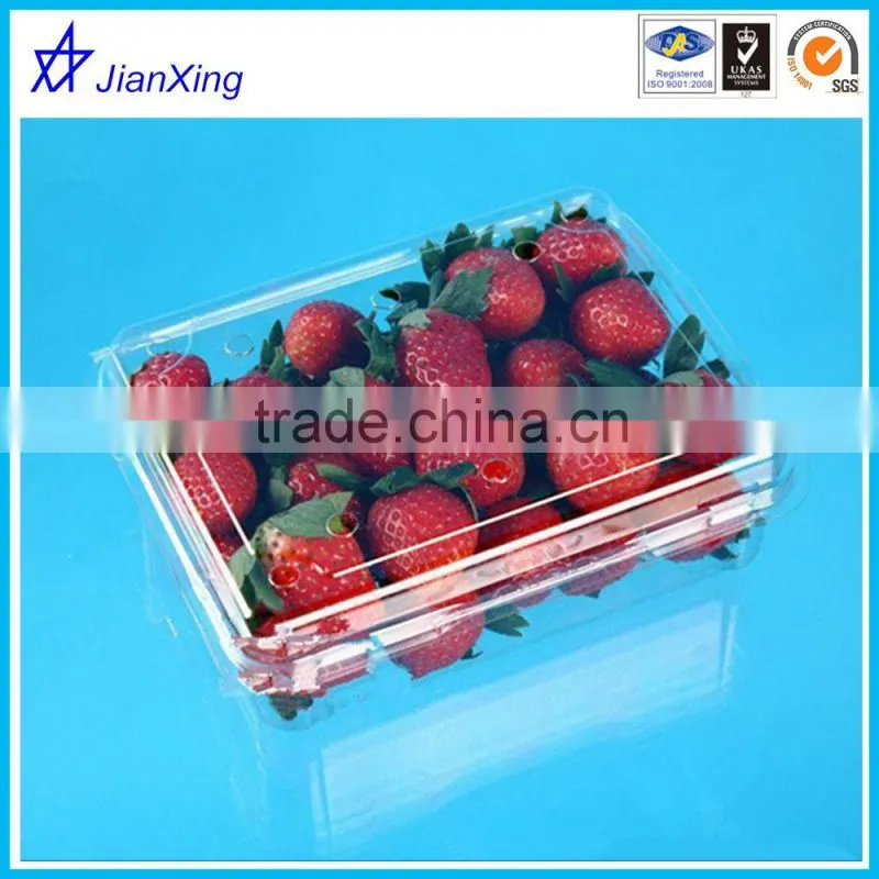 Eco Friendly Plastic Mushroom Packing Tray in Good Quality