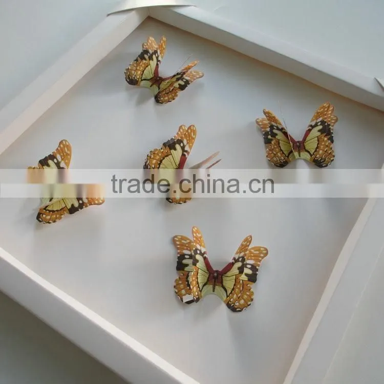 3D Butterfly Wall Sticker Decal Home Decor Room Decoration Art Wall home Sticker