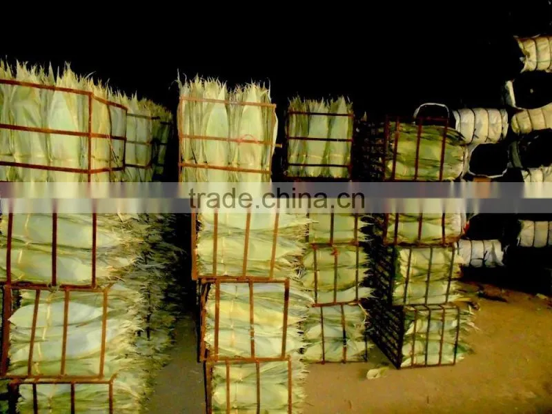 Bamboo leaf japan market; Bamboo leaves