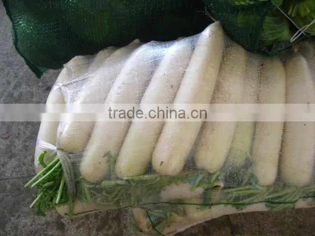 Fresh Radish