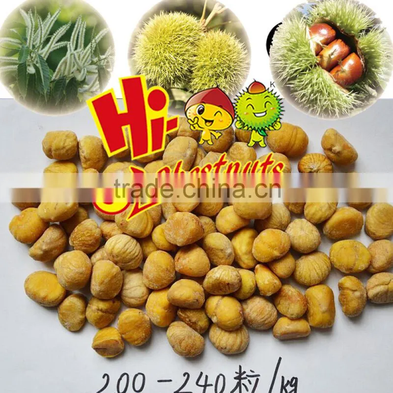Frozen Peeled Chestnuts-Best chestnuts Quality--Whole sale chestnuts Price