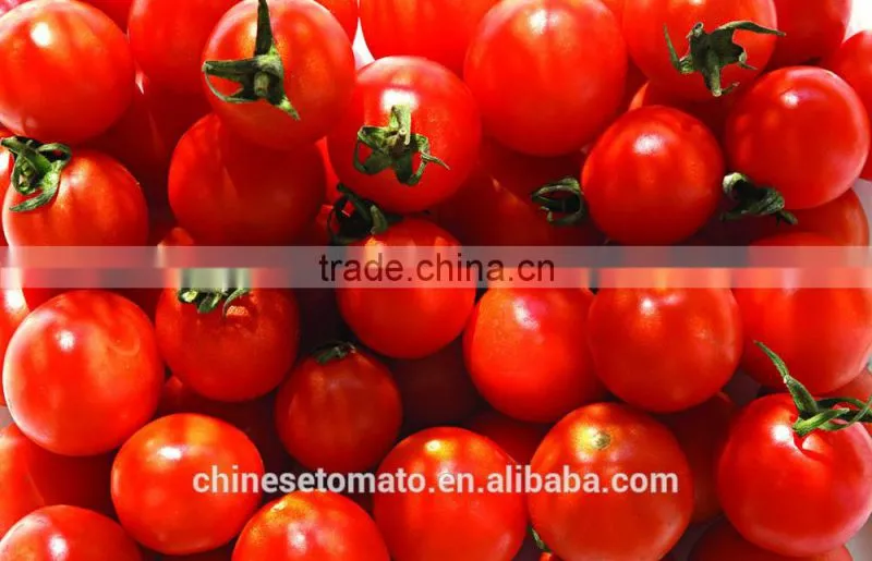 tomato paste with red color