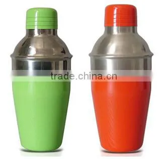 Stainless Steel Shaker