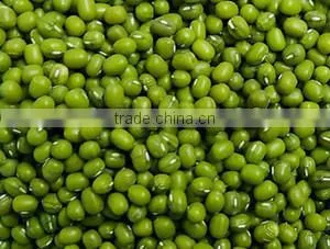 soy bean peeling machine/ Soybean processing Machine