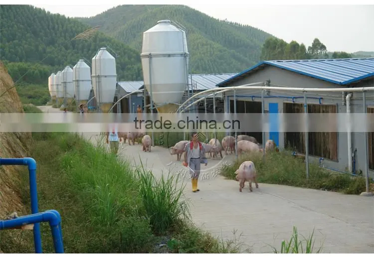 Automatic pig feeding system for fattening pig