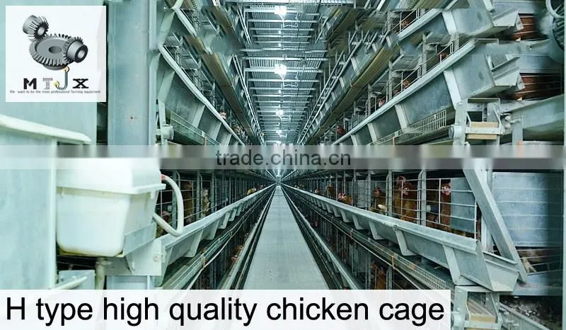 4 tiers high quality chicken cage for sale