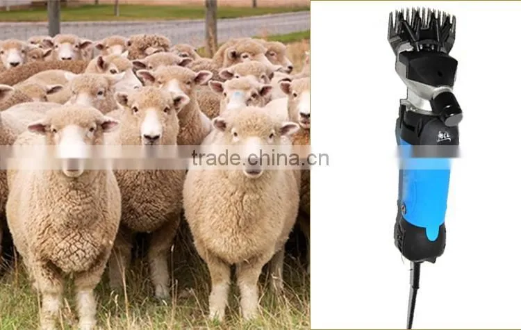 Blade protector available alibaba professional sheep clipper