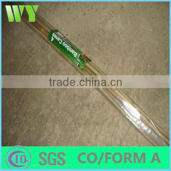 WY-221High quality bamboo poles bamboo canes bamboo stakes in raw materials for agriculture