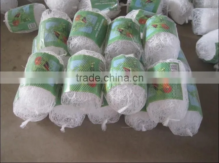 High Quality PE Plant Support Net