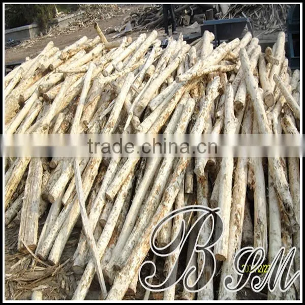 Wood Debarking Machine, hot sell in South Africa