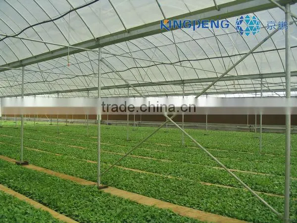 Glass Greenhouse for Agricultural (ISO9001:2000)