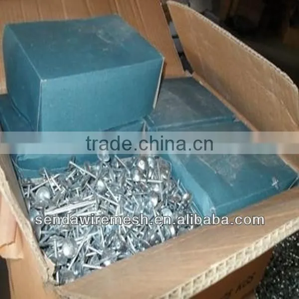 Umbrella head Roofing Nails