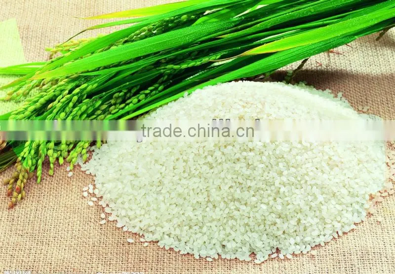 2013 hot sale combine rice mill equipment