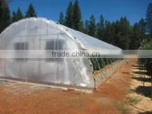 Agricltural Plastic Film Covering Greenhouse Tunnel
