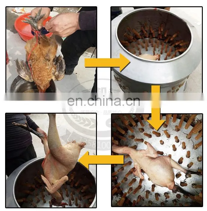 quail process equipment / poultry processing machine / quail plucker