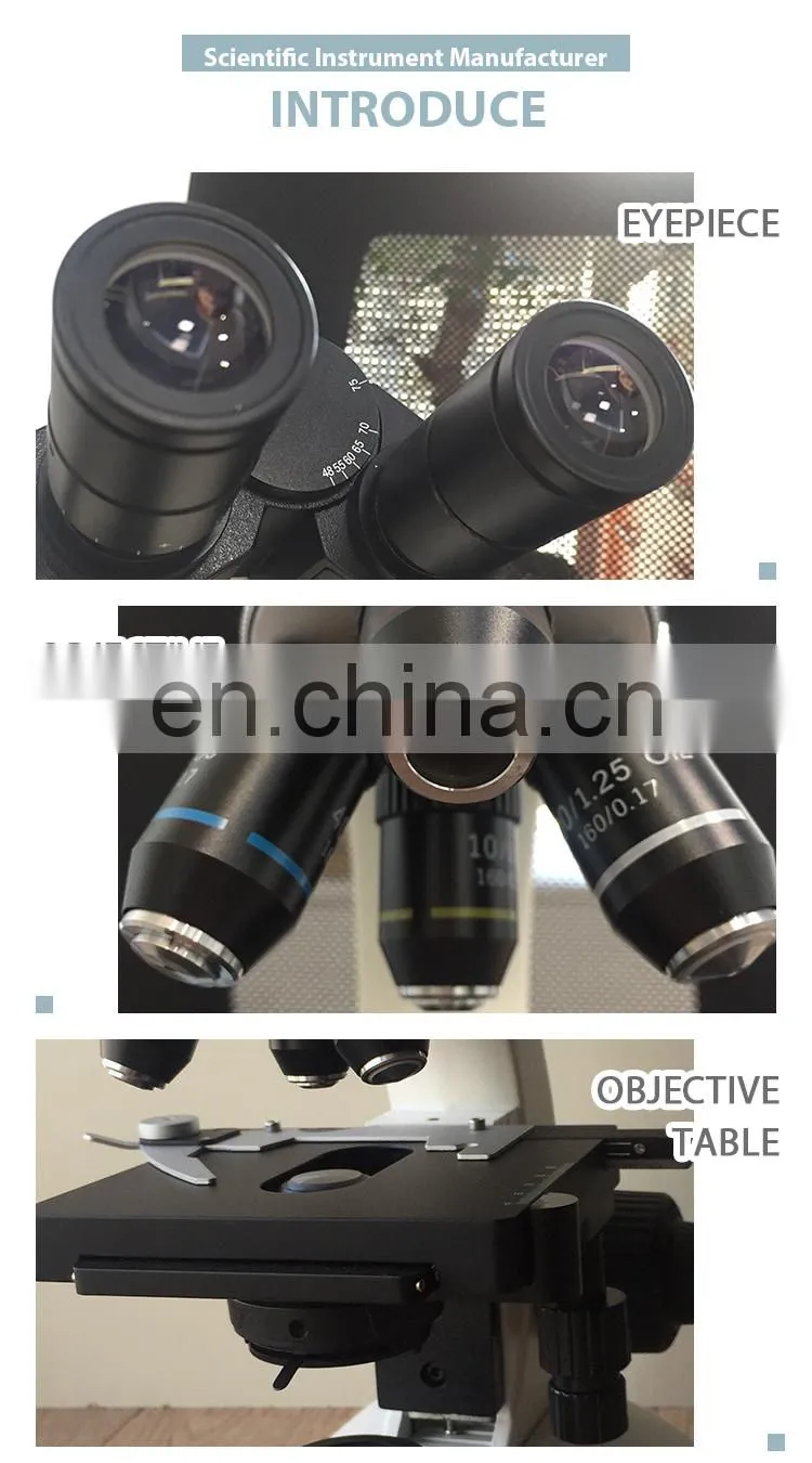 2020 China Manufacturer Price Binocular Biological Microscope