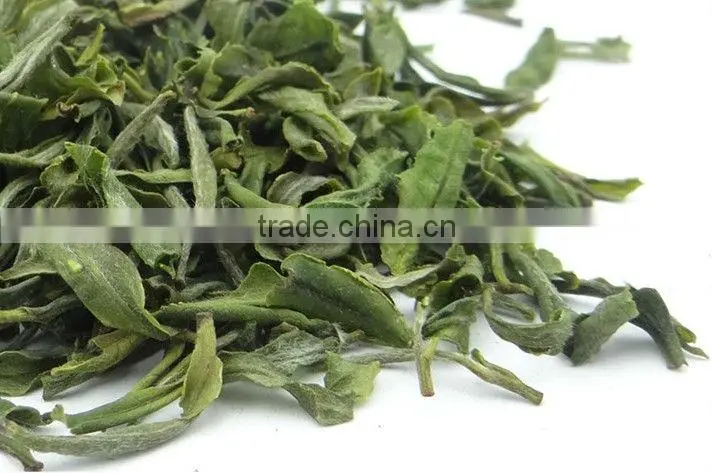 Promotion! Xinyangmaojian Green Tea,Low Price