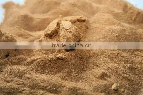First quality Noni powder exporters