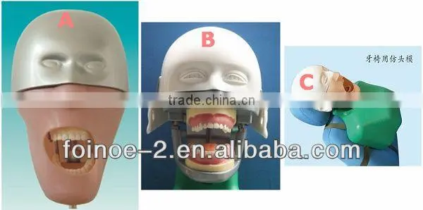 HOT selling CE approved dental simulator (Model:DTS-I split type)