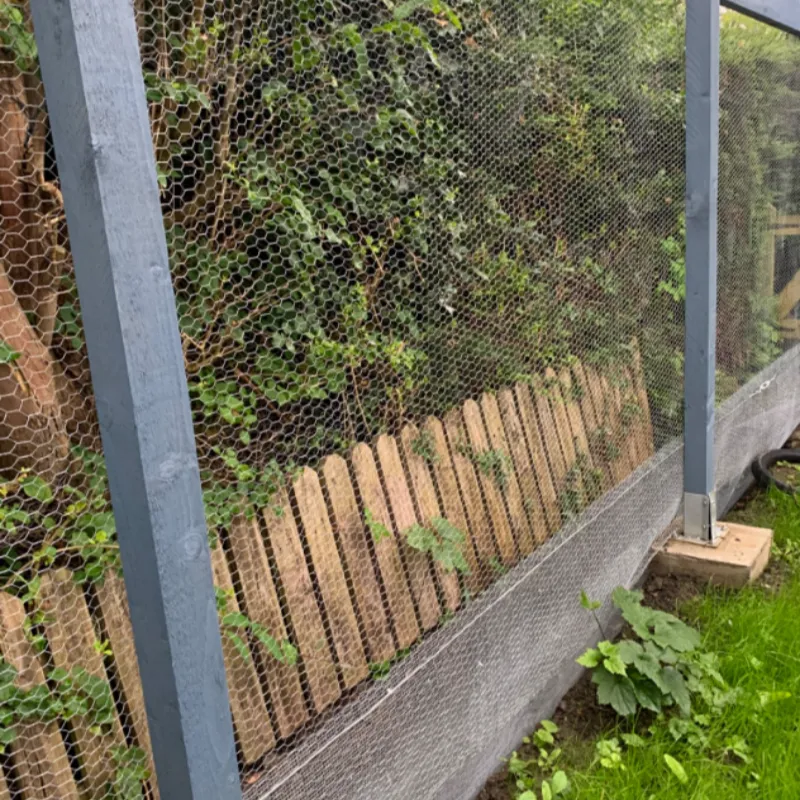 Galvanized Chicken Wire Mesh Fence for Sale/ Hexagonal Iron
