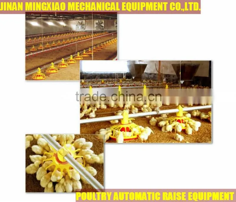 best sold high quality and inexpensive mechanized poultry feeding equipment