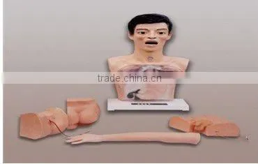 New basic model for nursing