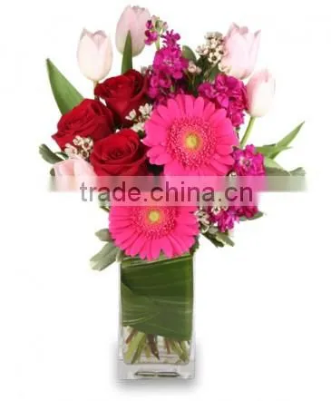 Cylinder Clear Glass glass ornaments