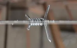 hot-dipped /electric barbed wire /Anping professional factory