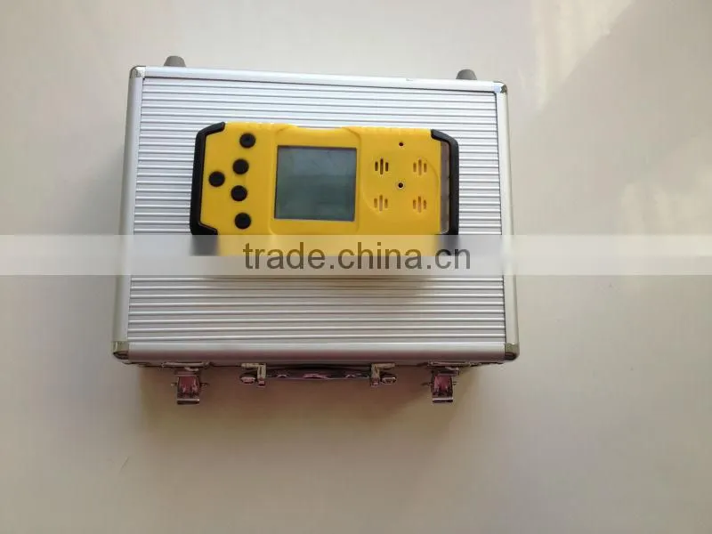 H2S and CO portable gas detector
