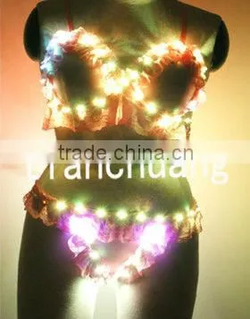 LED Bra And Panty / Light Up Bra & Panties / Hot Girls Dance Wear