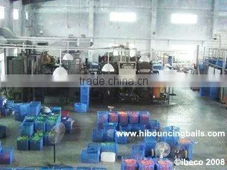 Ibeco Toys (Shenzhen) Co., Ltd. company overview - view 2
