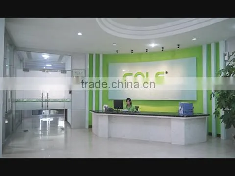 Shenzhen Golf & Feihuang Technology Co., Ltd. company overview - view 1