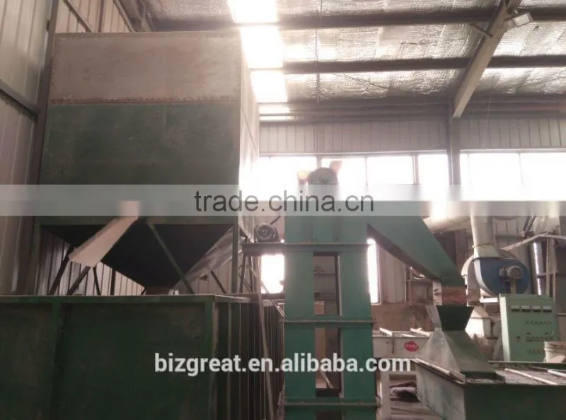 Supply Chinese Roasted Salted White Sunflower Seeds with Good Quality For Sales