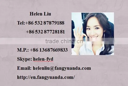 Hydraulic Rubber Vulcanizing Press