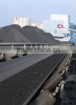 Conveyor Belt & Chevron Belt