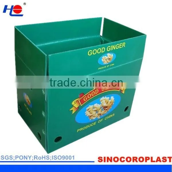 PP Corrugated Plastic Fluted Ginger Box