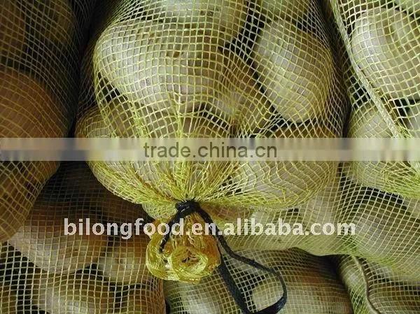2016 fresh Holland potato (china)