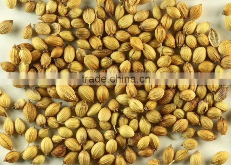 Indian High Grade Fresh Wholesale Dried Coriander Seed