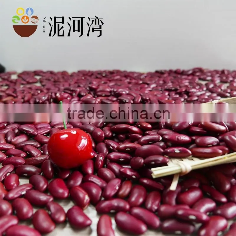 RED DARK KIDNEY BEAN rajma HPS 200-220PCS/100G