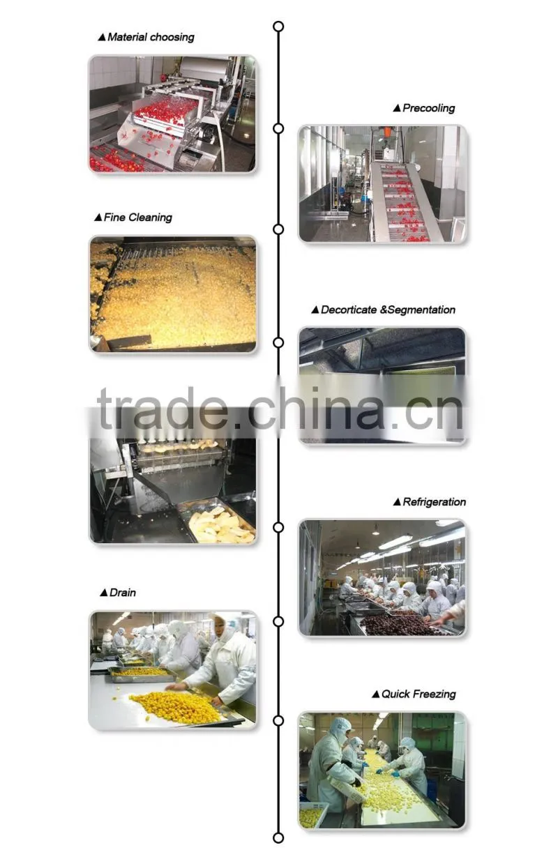 High quality best price new crop sweet frozen chedtnuts