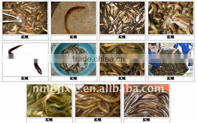 fish machine for sausageas,offals,shrimps,wet-handling feathers,livestock slaughtering off