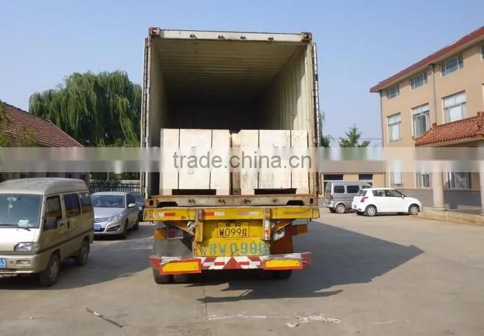Animal Feed Pellet Machine/Biomass Pellet Machine with Factory Pice