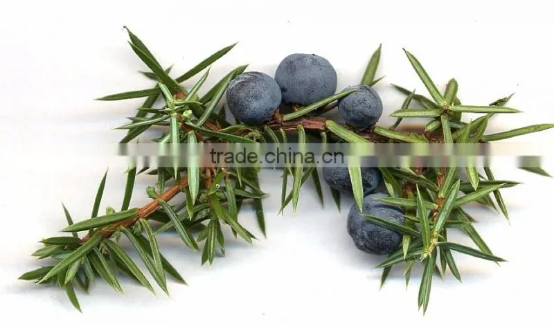 JUNIPERUS FLORAL WATER