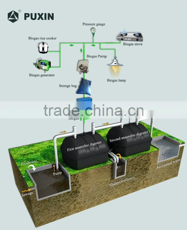 Toilet sewage and waste water treatment biogas digester