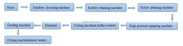 dates processing line